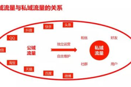抖音流量密码全解析｜从0到百万曝光的爆款运营法则