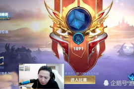 如何打造高效的刷单攻略：揭秘“播放刷怎么写”技术