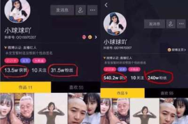 坚持发作品多久能涨粉丝？揭秘粉丝增长的秘密