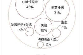 如何实现粉丝增长和上热门？这些策略让你快速引爆社交媒体