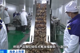 头条多久能爆涨粉丝？揭秘短时间内快速增长粉丝的方法