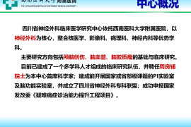 快手如何稳：内容生态与创新驱动的秘诀