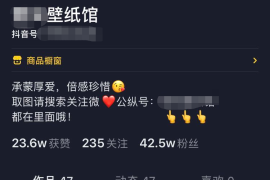 如何查看抖音收入？揭秘收入来源与查看方式