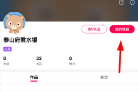 优酷怎么刷播放量：提升视频热度的秘密方法