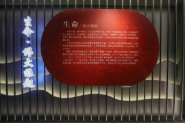 如何提高QQ公众号的阅读量？深度解析5个实用技巧