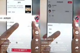 如何通过持续发布作品涨粉丝？揭秘提升粉丝数的秘诀！