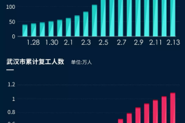 多久涨十万粉丝正常？揭秘快速增长背后的秘密