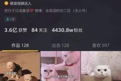 作品发多久才会涨粉丝？揭秘快速吸粉的关键