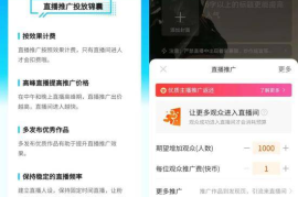 快手怎么可以刷播放量：提升曝光率的技巧与方法