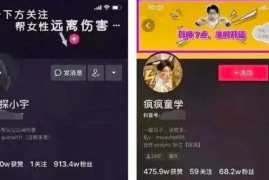 如何快速提升抖音粉丝量？掌握这些技巧，让你轻松涨粉！