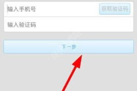 如何找回快手的视频号？全方位教程帮你轻松解决