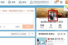 新浪微博如何查看访客？揭秘你的微博互动新玩法