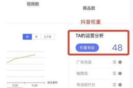 抖音账号权重标签实战手册｜3天突破流量瓶颈的底层逻辑