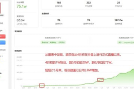 拼多多涨1万粉丝要多久？揭秘快速增长的秘籍！
