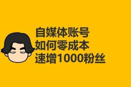 涨300粉丝需要多久？揭秘快速增加粉丝的秘密