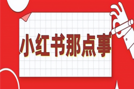 如何在小红书上快速涨粉丝？这几个技巧你绝对不能错过！