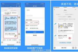 微信公众号如何高效管理，提升运营效率的实用指南