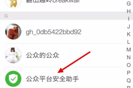 如何轻松查找微信公众号——获取你想要的所有信息