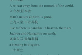 快手如何看？揭秘快手短视频的观看与使用技巧