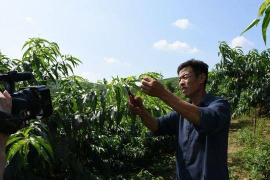 如何在短时间内轻松涨粉10万？这篇文章告诉你诀窍