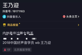 抖音粉丝数背后的秘密：从0到百万的实战指南