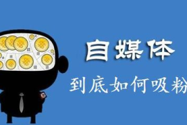 自媒体多久会涨粉丝？揭秘增长秘诀！