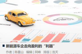 懂车帝赚钱如何发视频：快速打造汽车领域的赚钱利器