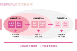 抖音推广实战手册：3天破百万流量的底层逻辑