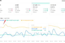 直通车账号权重如何决定你的广告生死？揭秘两大核心法则