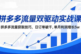 揭秘拼多多自然流量暴涨的底层逻辑：从0到万单的实战指南