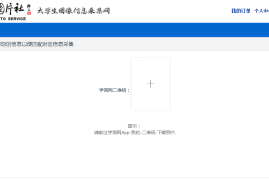 小红书电脑版怎么搜索？超详细教程教你轻松上手！