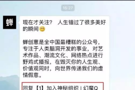 买涨粉丝，多久能到账？揭秘粉丝增长的秘密