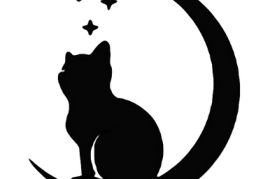 飞猫伴侣：如何在短短时间内增长2000粉丝？