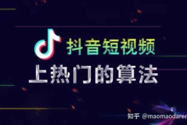 抖音快速粉丝真相：捷径还是陷阱？