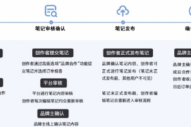 如何打造小红书引流——从零开始让你的品牌大爆发