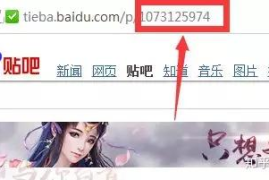 投豆荚多久开始涨粉丝？从小白到大咖的秘诀揭秘