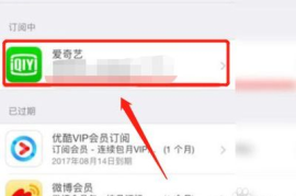 如何取消微博自动续费，避免不必要的支出！
