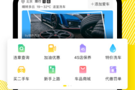 如何在视频放懂车帝挣钱：掌握这几招，让你轻松变现