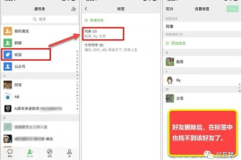 微博删除了怎么恢复？教你轻松找回丢失内容的方法