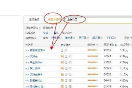 自然搜索流量暴增实战手册：3大核心策略+2个隐藏技巧