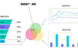 换领域后多久能涨粉丝？揭秘粉丝增长的关键因素！