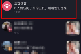 抖音访客记录哪里看？揭秘抖音访客查看的秘密