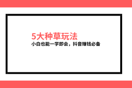 如何自己拍抖音：轻松上手的全攻略
