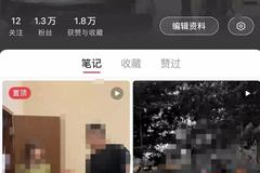 小红书怎么唱歌赚钱？轻松实现副业收入！