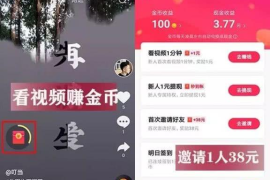 抖音冲的抖币在哪里看？详解抖币使用与查询方式