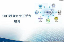 每次涨一个粉丝要多久？破解社交媒体增长的秘密