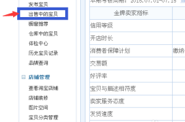淘宝子账号权重值：解锁店铺流量的隐藏钥匙