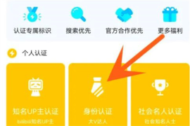 如何获取哔哩哔哩认证号，提升个人或品牌影响力