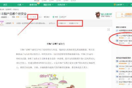 如何创建合集小红书，实现高效内容管理与精准吸粉