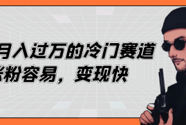 如何在抖音上快速涨粉丝？探秘成功之道